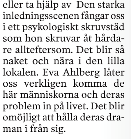 Bo Borg, Nya Lidköpings tidning.